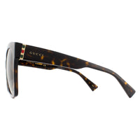 Gucci Sunglasses GG0459S 002 Havana Brown Gradient