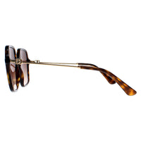 Dolce & Gabbana Sunglasses DG4422 502/13 Havana Brown Gradient