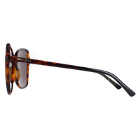Jimmy Choo Sunglasses Fede/S 086/70 Havana Brown