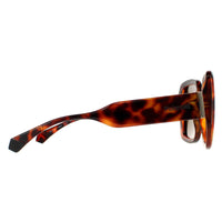 Polaroid Sunglasses PLD 6168/S 086 SP Dark Havana Bronze Polarized