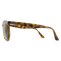 Ray-Ban Sunglasses RB4306 710/73 Havana Brown B-15