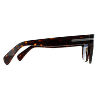 Salvatore Ferragamo Sunglasses SF1014S 219 Dark Tortoise Blue
