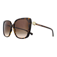 Bvlgari Sunglasses BV8225B 504/13 Dark Havana Brown Gradient