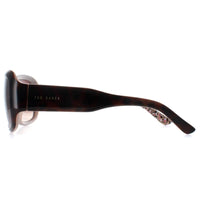 Ted Baker Sunglasses TB1183 Charlotte 149 Brown Brown Gradient
