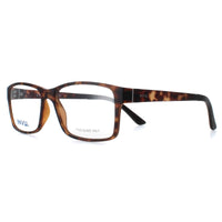 INVU Glasses Frames B4425 C Tortoise Matte Demi Men