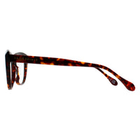 Prive Revaux Glasses Frames Blended 086 Havana Women