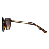Dolce & Gabbana Sunglasses DG4408 502/13 Havana Brown Gradient