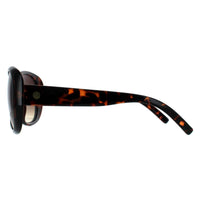 Smarty Sunglasses X2808 J Chocolate Tortoise Brown Brown