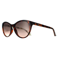 Ted Baker Sunglasses TB1583 Lisbet 122 Tortoise Flower Brown Gradient