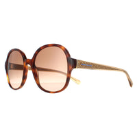 Tommy Hilfiger Sunglasses TH 1812/S 05L HA Havana Brown Gradient