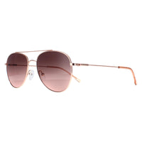 Calvin Klein Sunglasses CK20120S 780 Rose Gold Brown Gradient