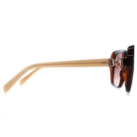 Karen Millen Sunglasses KM5048 102 Dark Tortoise Brown Gradient