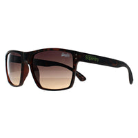Superdry Sunglasses Kobe 102 Havana Brown