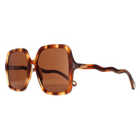Chloe Sunglasses CH0086S Zelie 005 Havana Brown