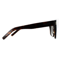 Saint Laurent Sunglasses SL 424 002 Havana Shiny Grey