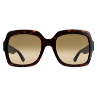 Gucci Sunglasses GG0036SN 004 Havana Glitter Blue and Red Brown Gradient