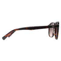 Banana Republic Sunglasses BR 4005/S 086 HA Havana Brown Gradient