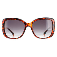 Karen Millen Sunglasses KM5036 100 Brown Grey Gradient