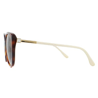 Jimmy Choo Sunglasses ALY/F/S 086 HA Havana Brown Brown Gradient