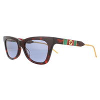 Gucci Sunglasses GG0598S 002 Dark Havana and Gold Blue