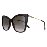 Jimmy Choo Sunglasses Seba/S 086/HA Dark Havana Brown Gradient