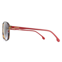 Carrera Sunglasses Carrera 173/S O63 9O Havana with Red Dark Grey Gradient