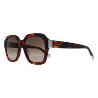 Missoni Sunglasses MIS 0130/G/S 05L HA Havana Brown Gradient