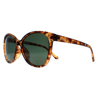 Montana Sunglasses MP74 C Shiny Havana Soft Demi G15 Green Polarized
