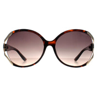 Guess Sunglasses GF6099 52F Dark Havana Brown Gradient