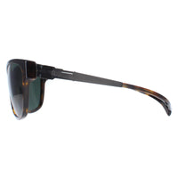 ic! berlin Sunglasses Starburst Black & Havana Green
