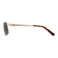 Caterpillar Sunglasses CTS-8030 001P Gold Grey Polarized
