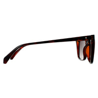 Polaroid Sunglasses PLD 4081/S 086 LA Havana Brown Gradient Polarized