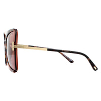 Tom Ford Sunglasses Gia FT0766 55Y Marbled Brown Violet