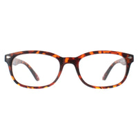 Montana Reading Glasses MP70A Turtle Men Women +2.00
