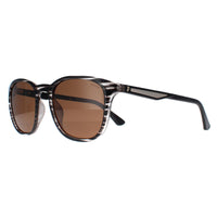 Police Sunglasses SPLF18E 6BZP Striped Grey Brown Polarized