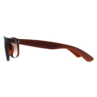 Ray-Ban Sunglasses Andy 4202 607313 Matt Brown Brown Gradient