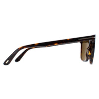 Tom Ford Sunglasses FT0832 52J Dark Havana Roviex Brown