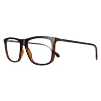 Polaroid Glasses Frames PLD D497 086 Havana Men