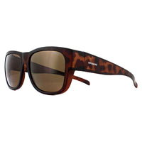 Polaroid Suncovers Sunglasses PLD 9003/S MQU IG Havana Brown Polarized