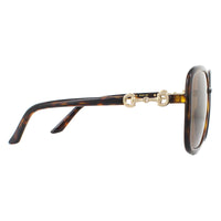 Gucci Sunglasses GG0893S 002 Dark Havana Brown