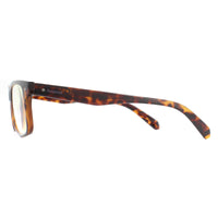 Polaroid Glasses Readers 0023/R 086 Havana +2.5 Blue Light Block