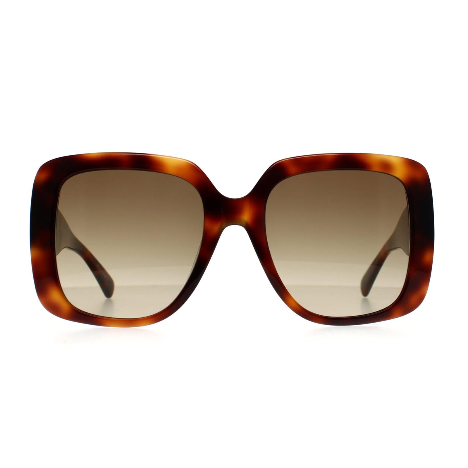 Longchamp Sunglasses LO713S 230 Havana Brown Gradient 