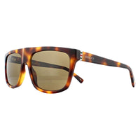 Gucci Sunglasses GG0450S 003 Havana Brown