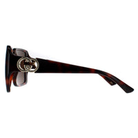 Gucci Sunglasses GG1692S 002 Dark Havana with Gold Dark Brown