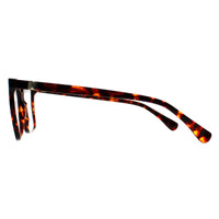 Max Mara Glasses Frames MM5022 054 Amber Tortoise Women