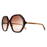 Chloe Sunglasses CH0008S Esther 004 Dark Havana and Brown Crystal Brown Gradient