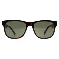 Banana Republic Sunglasses BR 4008/S 086 QT Havana Green