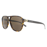 Bvlgari Sunglasses BV7034 504/73 Dark Havana Brown