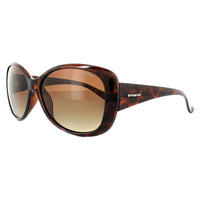 Polaroid Sunglasses P8317 0BM LA Havana Brown Gradient Polarized