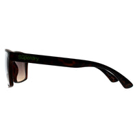 Superdry Sunglasses Kobe 102 Havana Brown